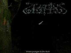 A Triste Passagem da Fria Ilusão